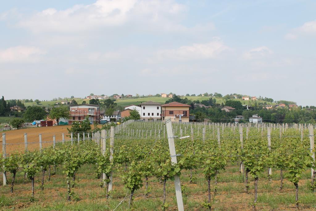 Agriturismo Le Casette Кастельветро-ді-Модена Екстер'єр фото