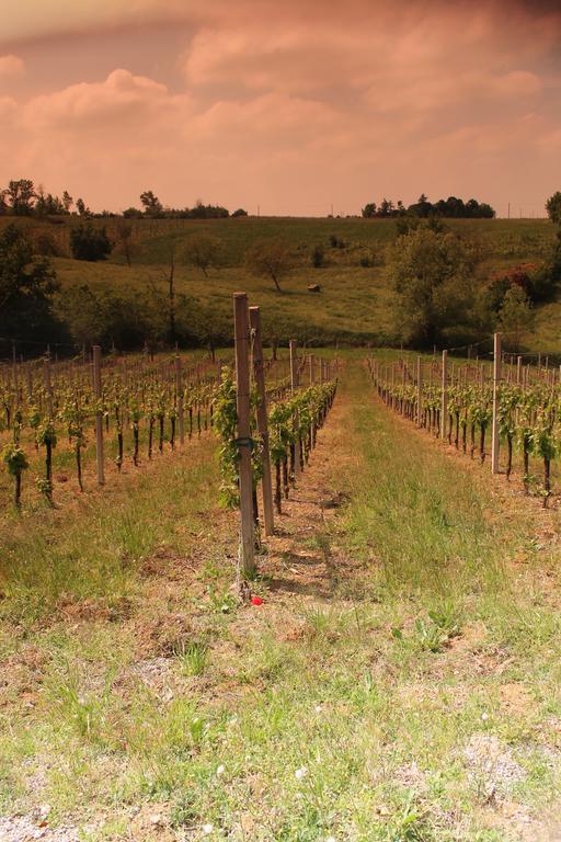 Agriturismo Le Casette Кастельветро-ді-Модена Екстер'єр фото
