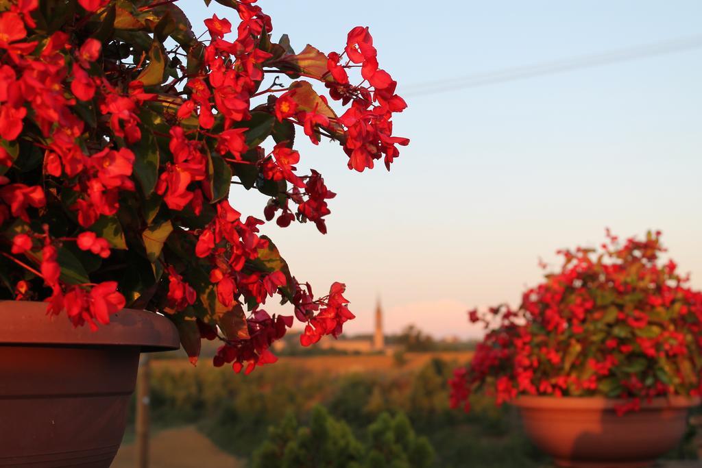Agriturismo Le Casette Кастельветро-ді-Модена Екстер'єр фото