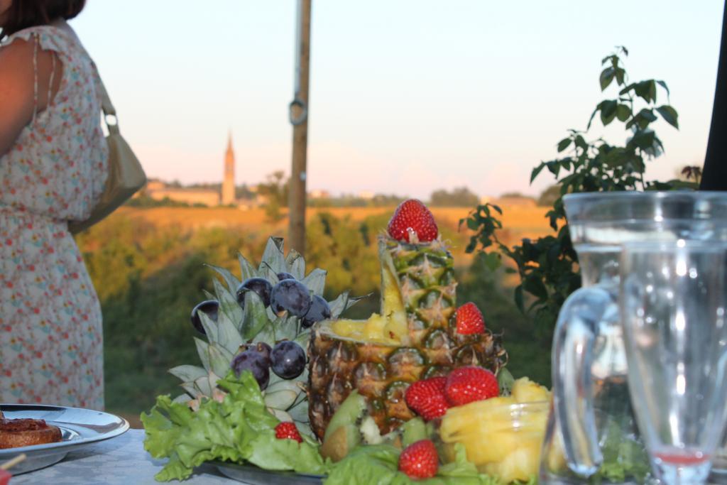 Agriturismo Le Casette Кастельветро-ді-Модена Екстер'єр фото